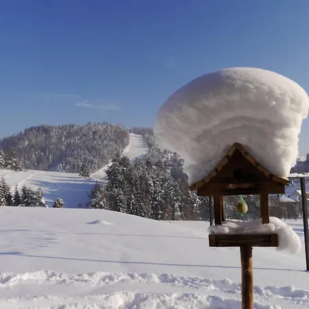 Modrzewiowy Raj アパート *