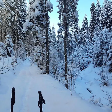 Modrzewiowy Raj Διαμέρισμα *