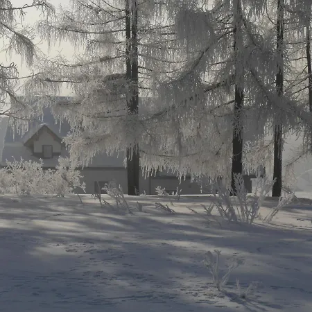 アパート Modrzewiowy Raj