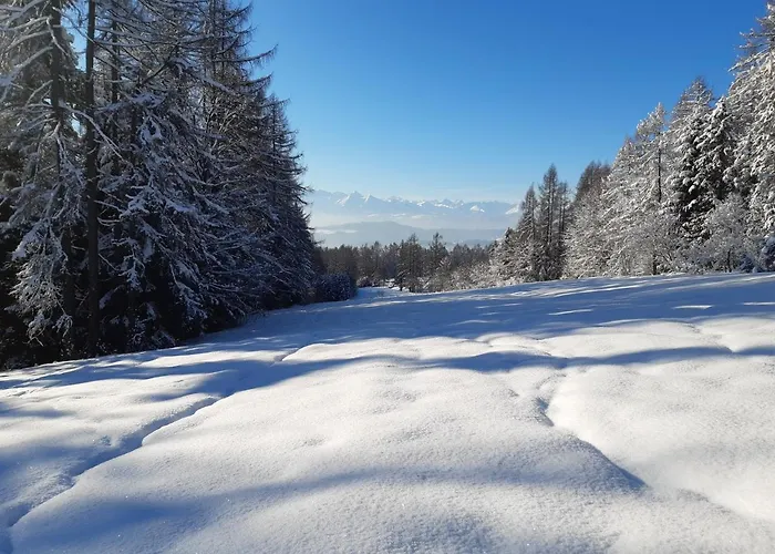 Διαμέρισμα Modrzewiowy Raj *