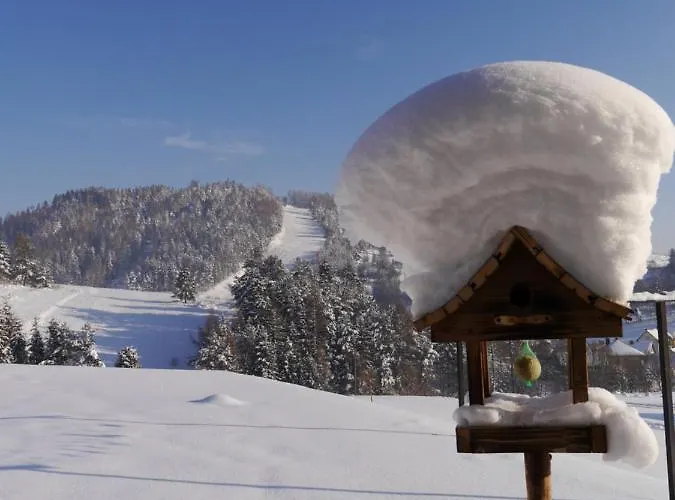 Modrzewiowy Raj Apartman *