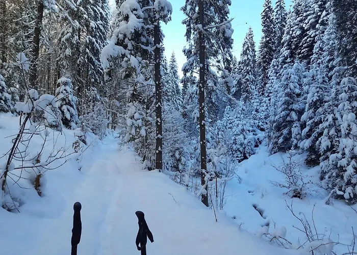 Modrzewiowy Raj Apartman *